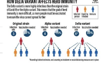 Delta變種病毒株有多可怕 名醫用圖解析