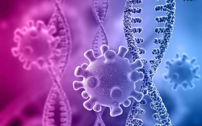 美國恐爆第4波疫情 CDC主任憂「世界末日」即將到來