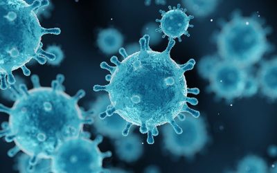 病毒如何運作的常見問題解答