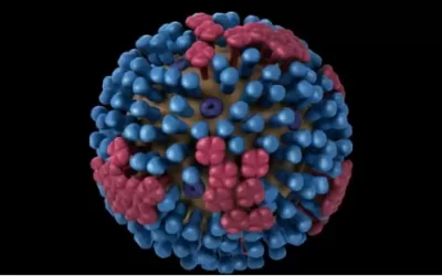H3N2變種病毒橫掃全美「超級流感」病例暴增！專家：挑戰免疫力