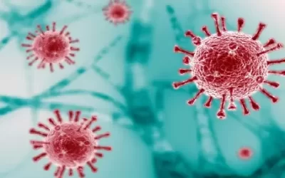 乙型流感山形株可能滅絕引發科學界廣泛討論