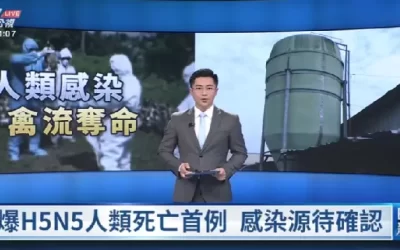 全球首例人染H5N5禽流感死亡 我疾管署：大規模傳播風險低