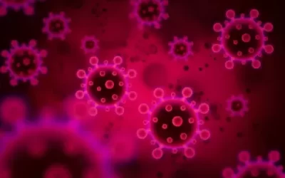 專家：流感全年化恐成趨勢 兒少接種刻不容緩