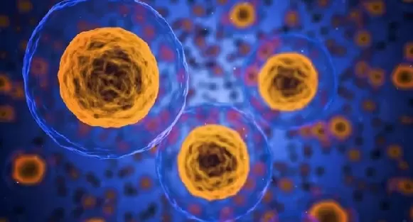 最新研究證實！「2病毒」大增100萬倍癌細胞數量 害人癌症復發