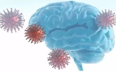 最新研究：新冠疫情加速大腦老化 未感染病毒的人也受影響