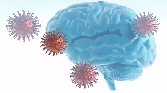 最新研究：新冠疫情加速大腦老化 未感染病毒的人也受影響