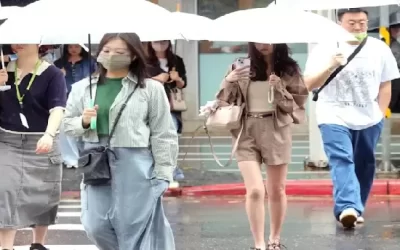 深秋流感竄起！醫警告這波病毒「特別兇」 高燒喉嚨痛別當小感冒