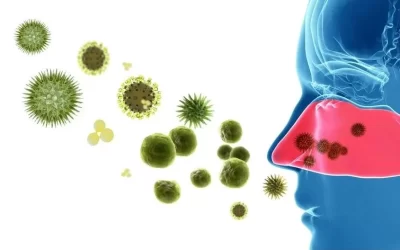 鼻腔免疫細胞研究揭示流感病毒防治新方向